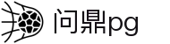 问鼎PG官方网站 - 中国官方入口平台